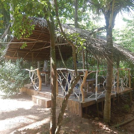 Seasons Four Jungle Cabana Leilighet Matara Eksteriør bilde